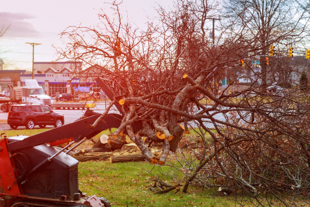 Tips For Finding A Good Rubbish Removal Firm